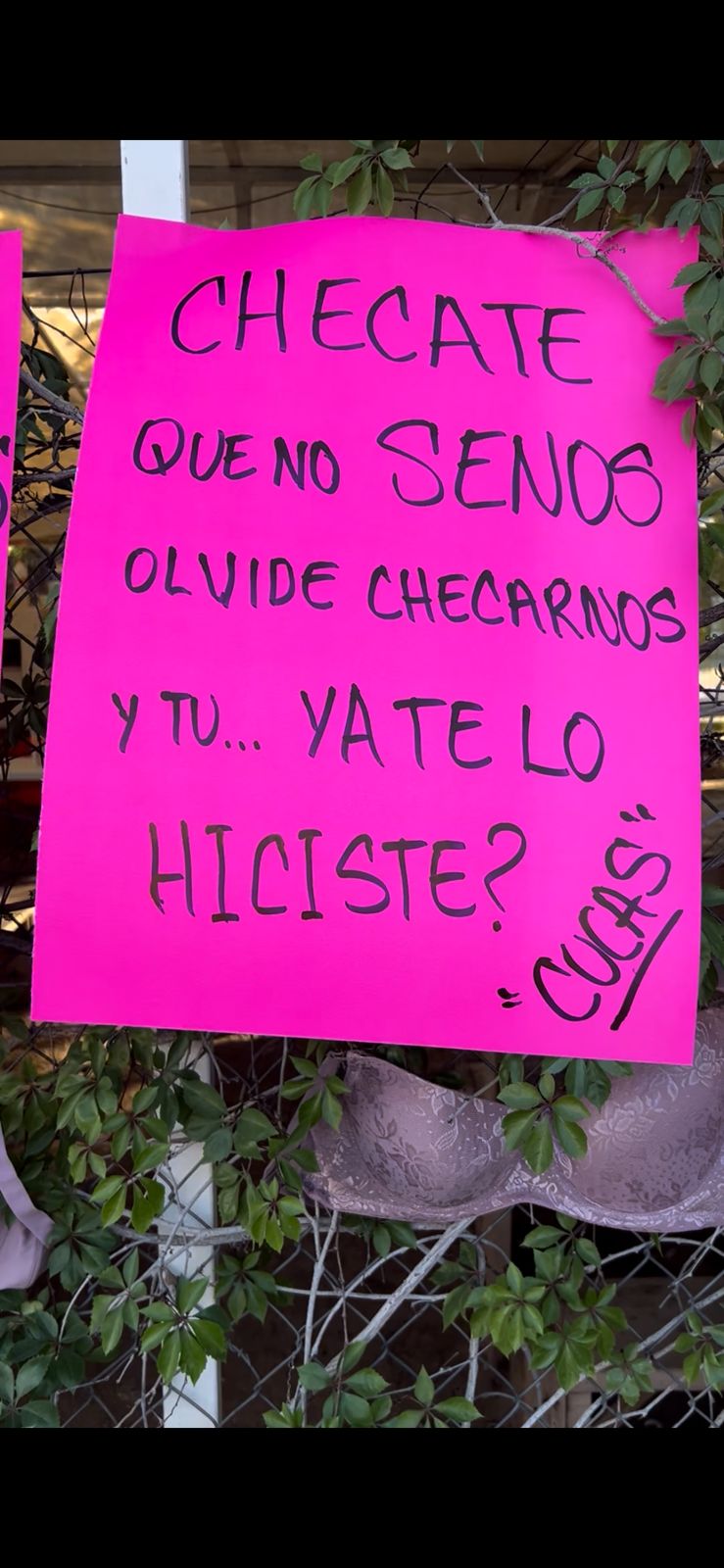 Imagen 1 de la galería de CUCAS,  COLONIAS UNIDAS CONTRA EL CÁNCER
